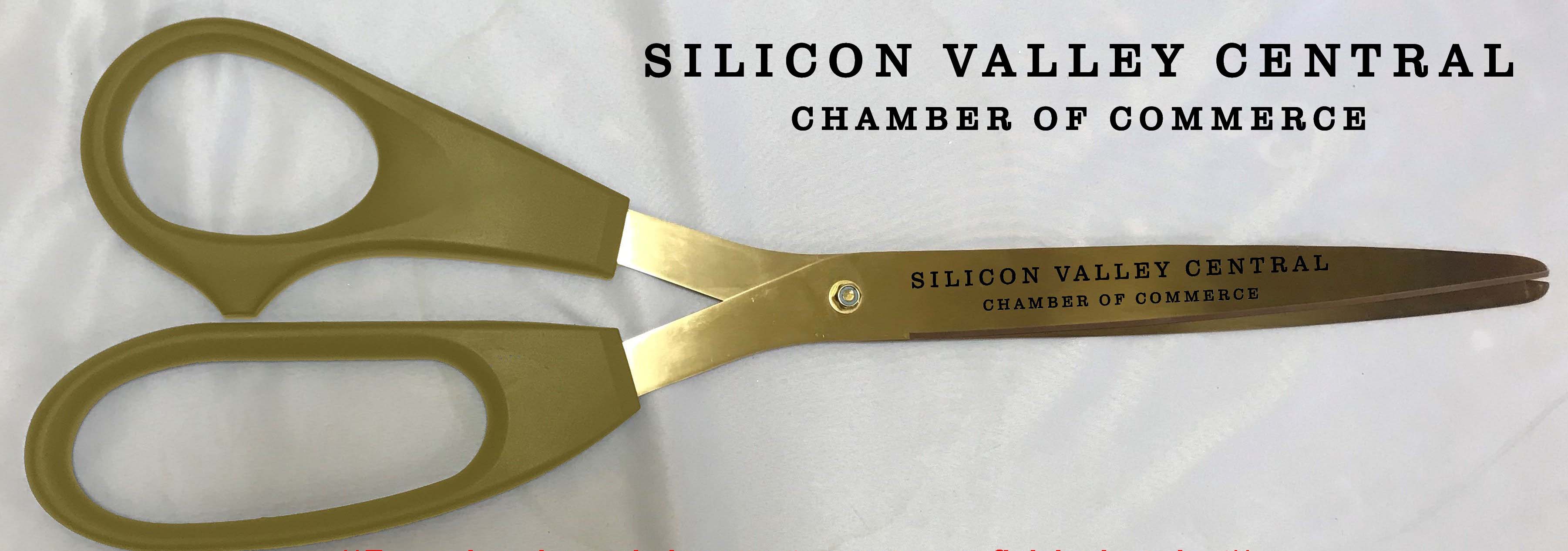 The Chamber&rsquo;s engraved gold ceremonial scissors